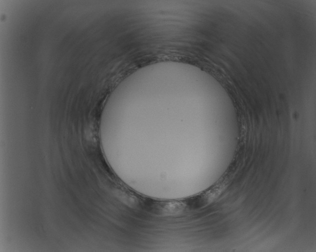 X0000074260663200608250901