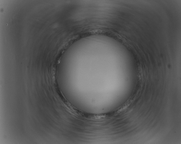 X0000074260664200608250901