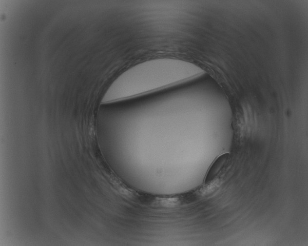 X0000074260665200608250901