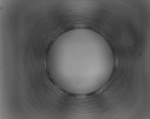 X0000074260666200608250901