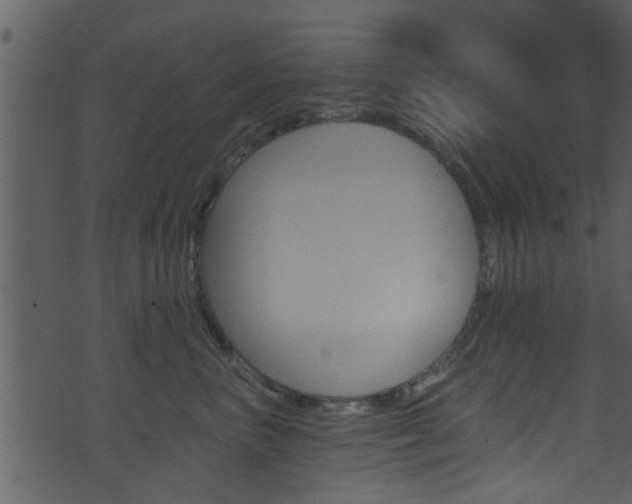 X0000074260667200608250901