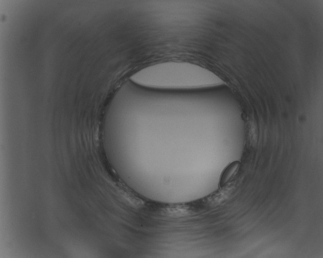 X0000074260668200608250901