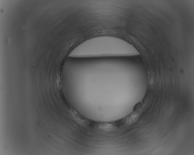 X0000074260669200608250901