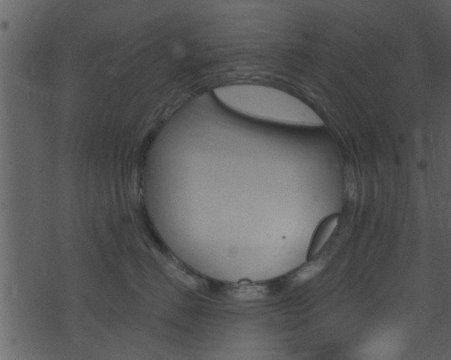 X0000074260670200608250901