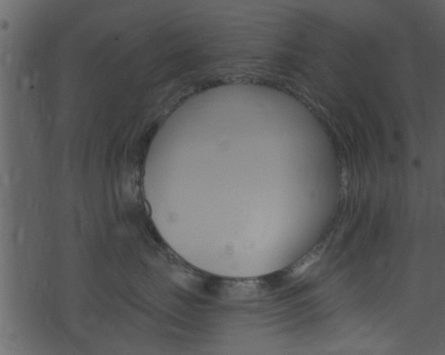 X0000074260671200608250901