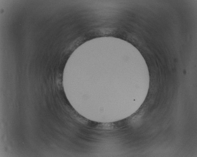 X0000074260672200608250901