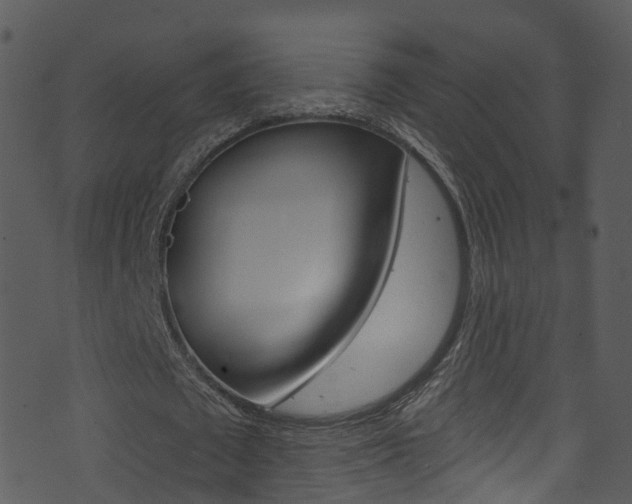 X0000074260673200608250901