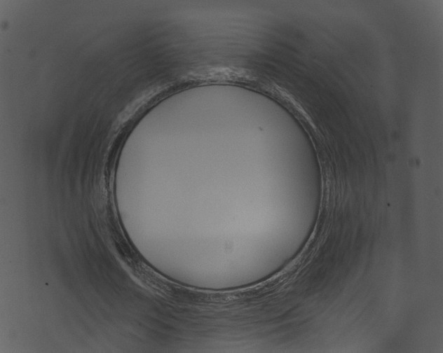 X0000074260674200608250901