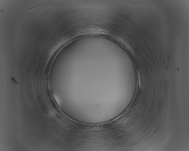 X0000074260675200608250901