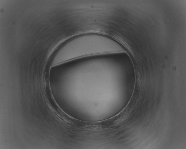 X0000074260676200608250901