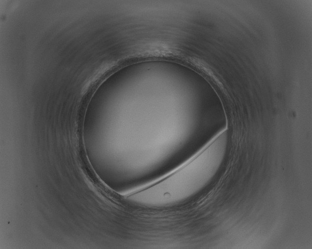 X0000074260677200608250901