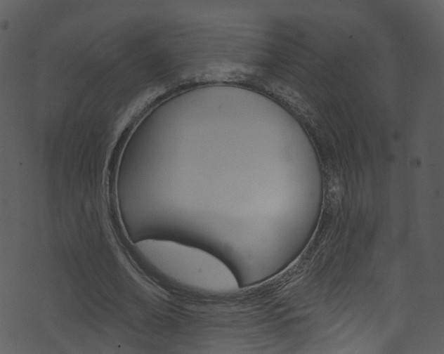 X0000074260678200608250901