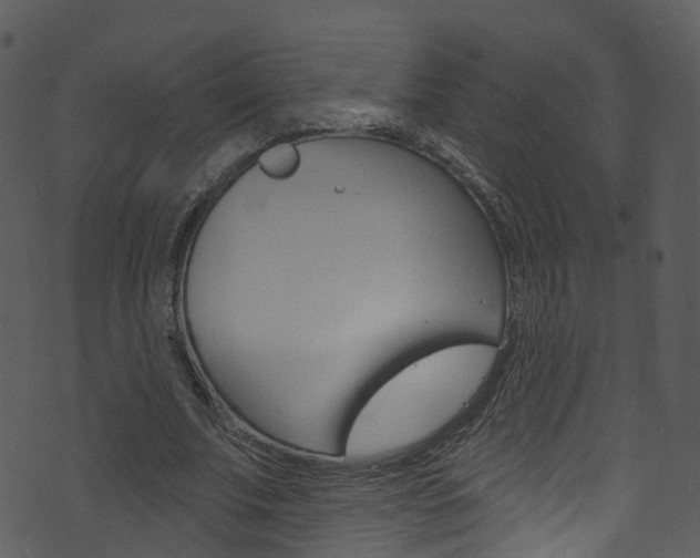 X0000074260679200608250901