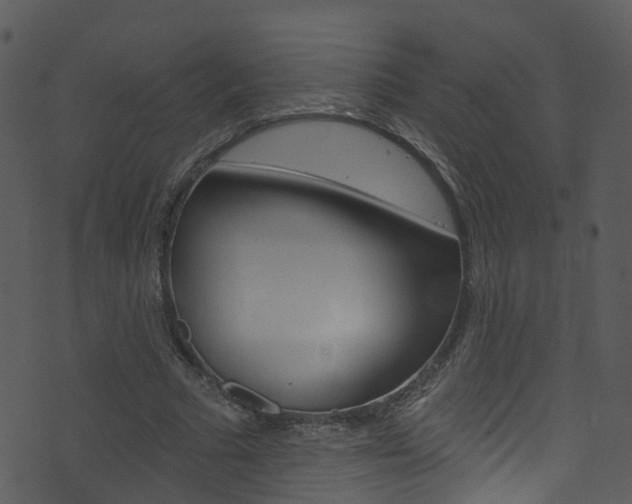 X0000074260681200608250901