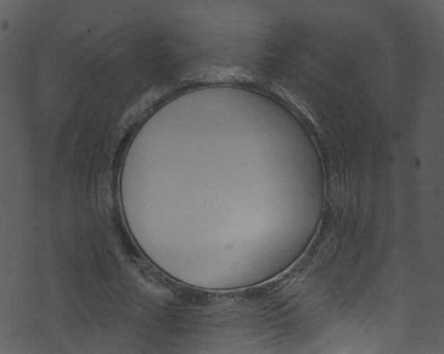 X0000074260682200608250900