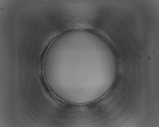 X0000074260683200608250900