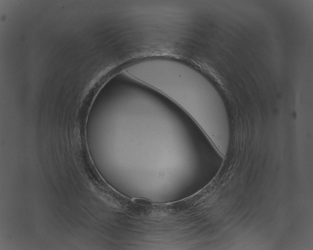 X0000074260684200608250900