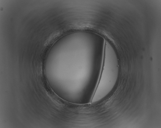 X0000074260685200608250900