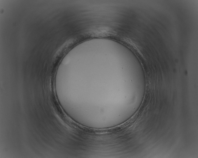 X0000074260686200608250900