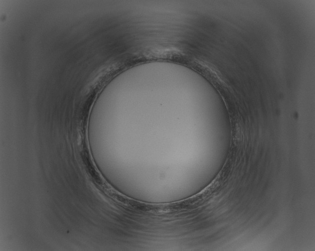 X0000074260687200608250900