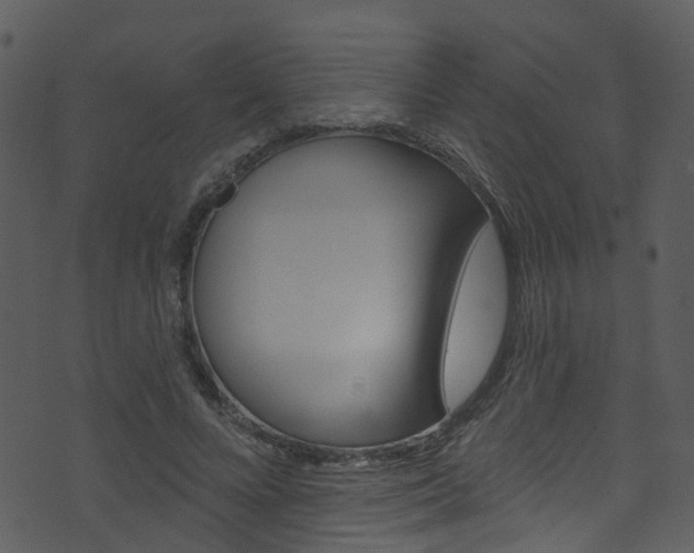 X0000074260688200608250900