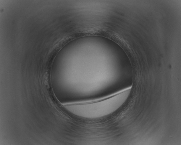 X0000074260689200608250900