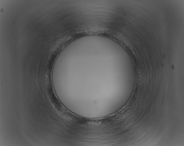 X0000074260690200608250900