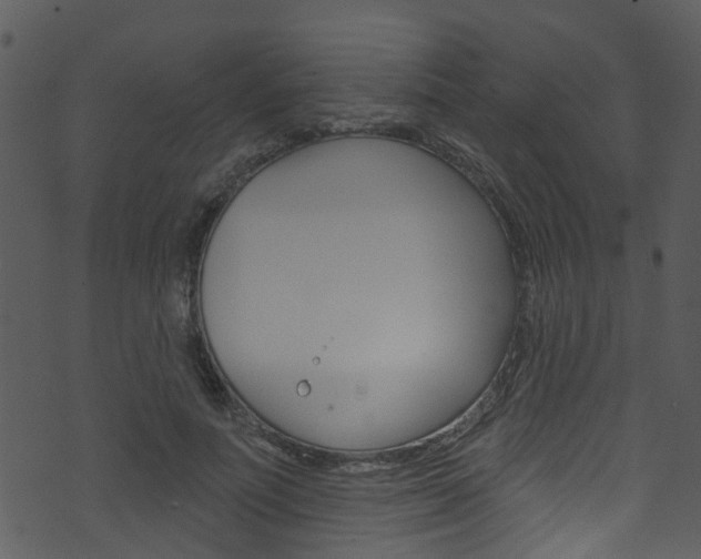 X0000074260691200608250900