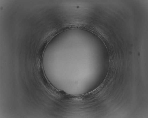 X0000074260692200608250900