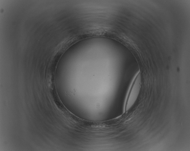 X0000074260693200608250900