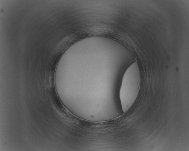 X0000074260694200608250900