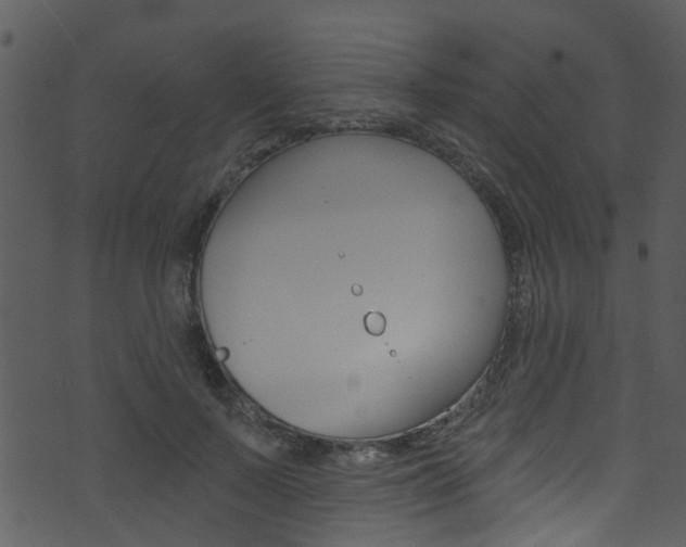 X0000074260695200608250900