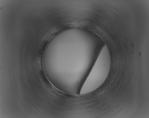 X0000074260696200608250900