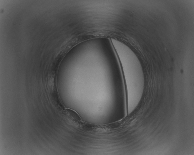 X0000074260697200608250900