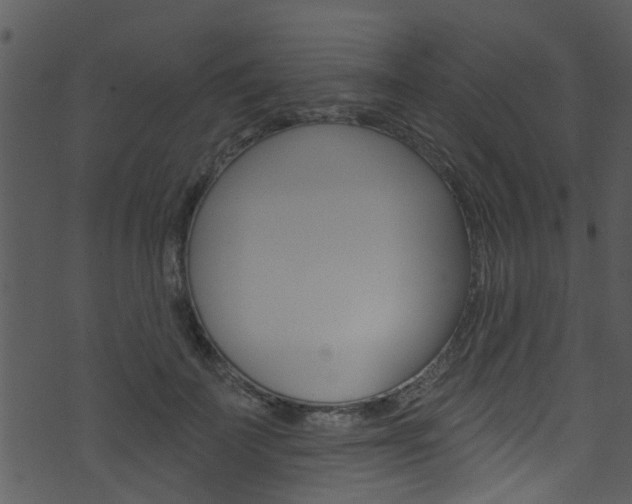 X0000074260699200608250900