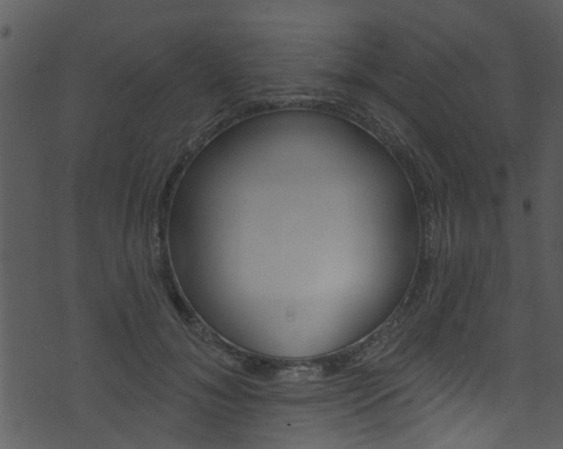 X0000074260700200608250900