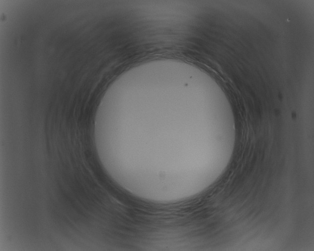 X0000074260701200608250900