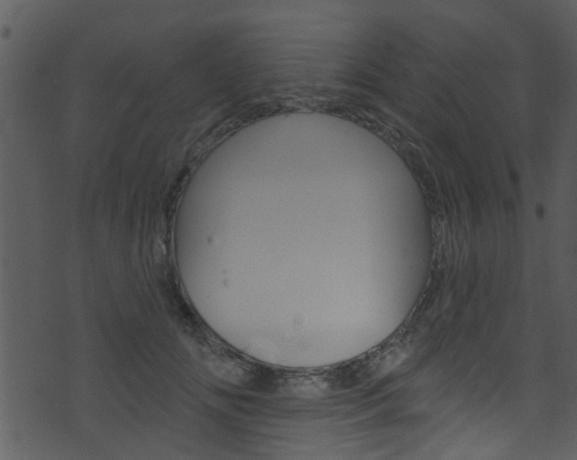 X0000074260702200608250900