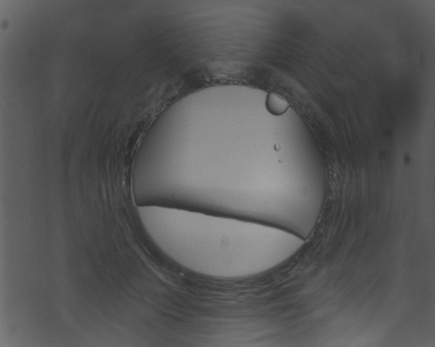 X0000074260703200608250900