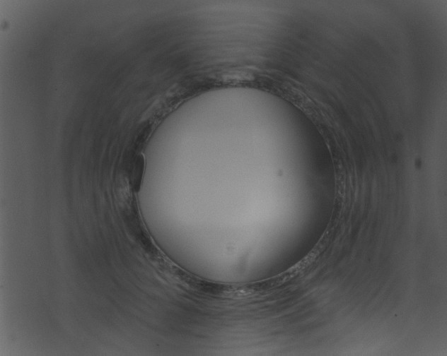 X0000074260704200608250900