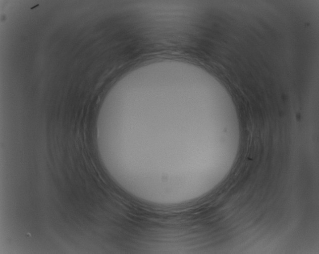 X0000074260705200608250900