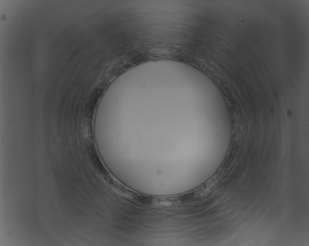 X0000074260706200608250900