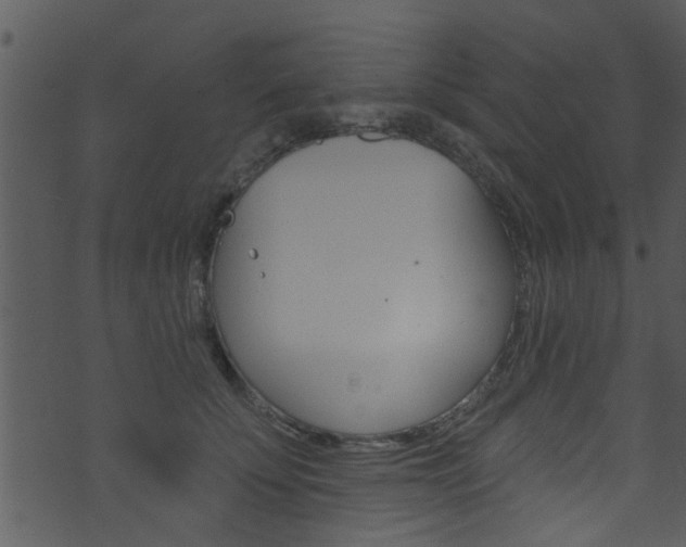 X0000074260707200608250900