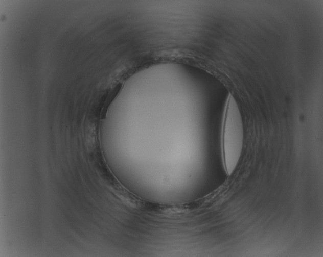 X0000074260708200608250900