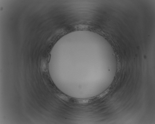 X0000074260709200608250900