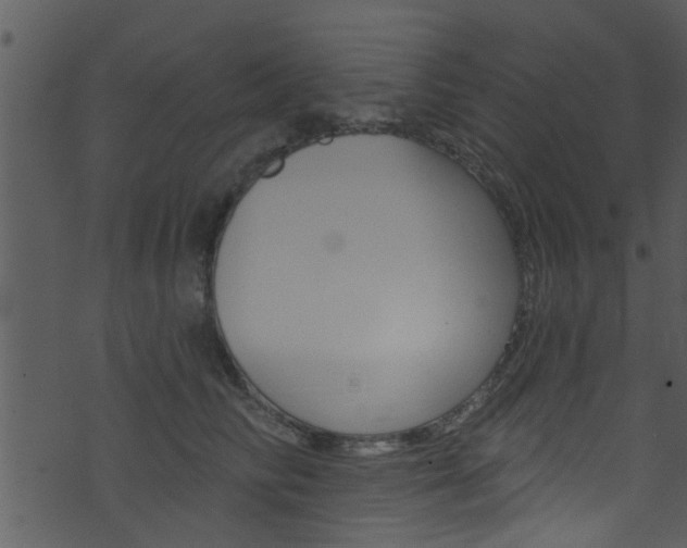 X0000074260710200608250900