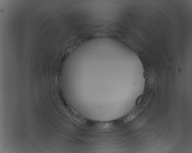 X0000074260711200608250900