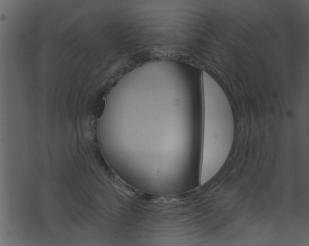 X0000074260712200608250900