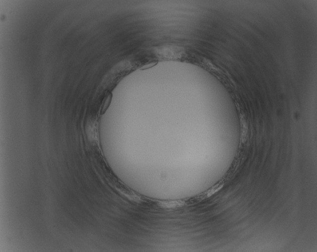 X0000074260713200608250900