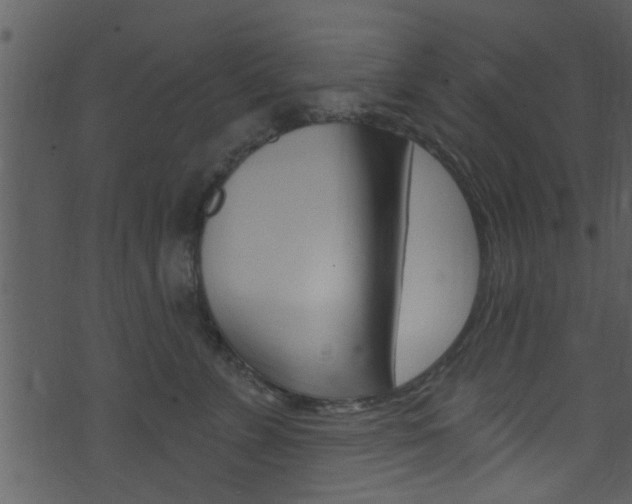 X0000074260715200608250900